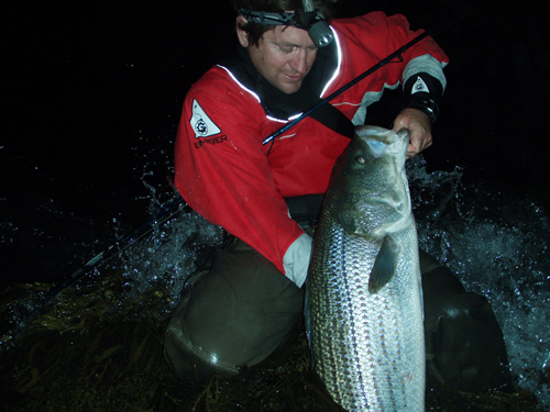 Aug 16 fish